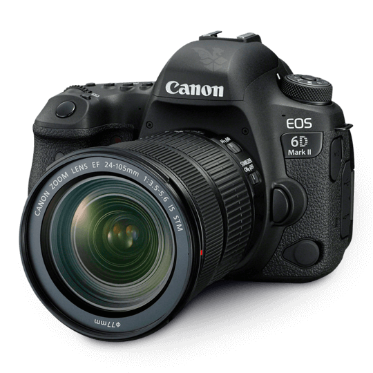 Canon eos 6d mark 2 примеры фото